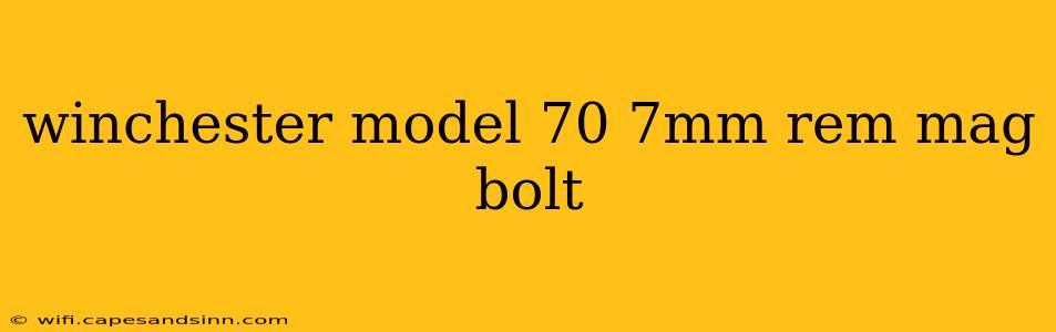 winchester model 70 7mm rem mag bolt