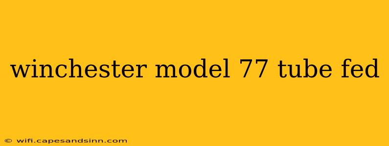 winchester model 77 tube fed