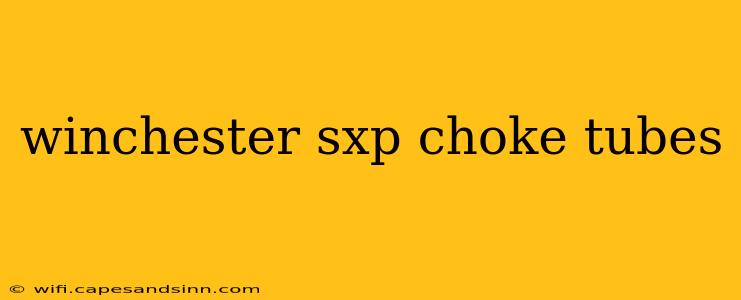 winchester sxp choke tubes