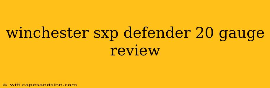 winchester sxp defender 20 gauge review