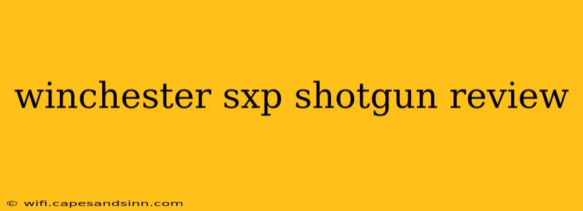 winchester sxp shotgun review