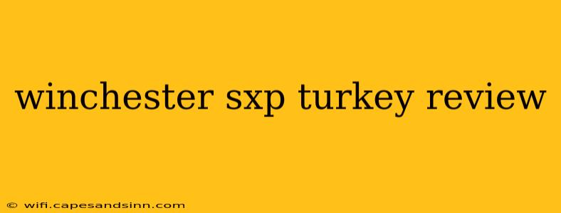 winchester sxp turkey review