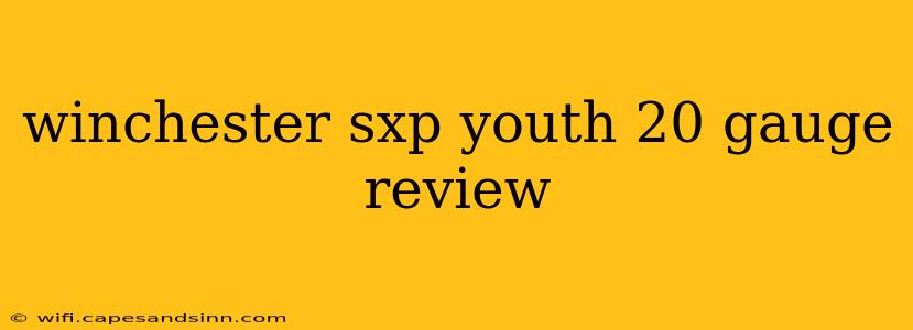 winchester sxp youth 20 gauge review