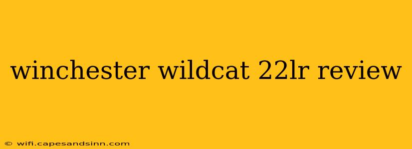 winchester wildcat 22lr review