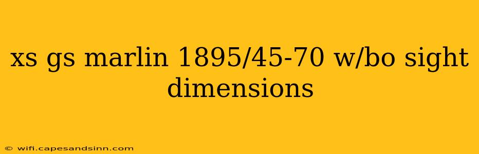 xs gs marlin 1895/45-70 w/bo sight dimensions